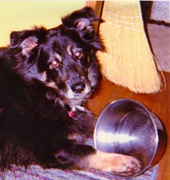 The Jaeg Jaeg Jaegiest!